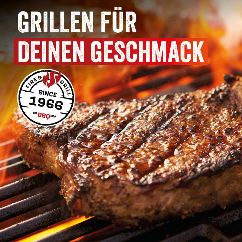 Triton 3.1 maxX Gasgrill