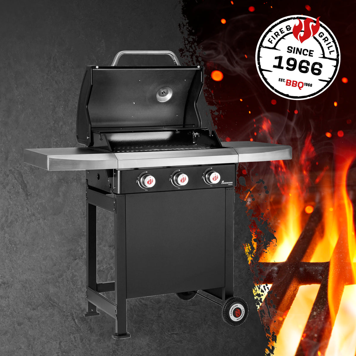 Landmann gasgrill rexon pts 3.0 store